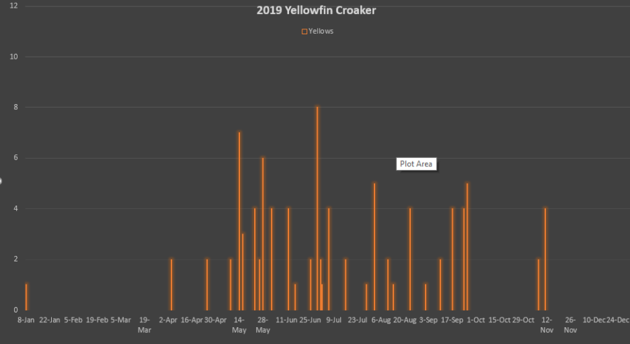 yellowfin croaker