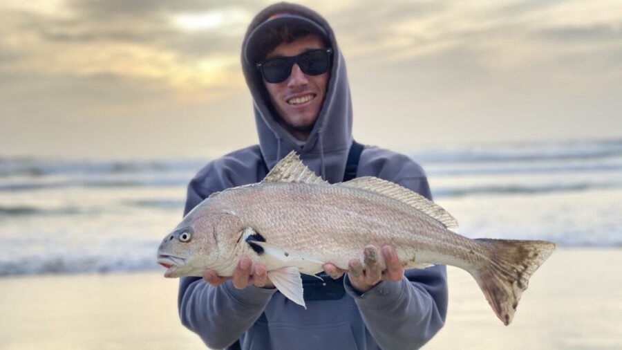 spotfin croaker fishing