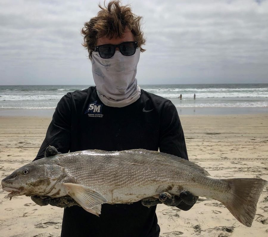 Surf Fishing for Corbina