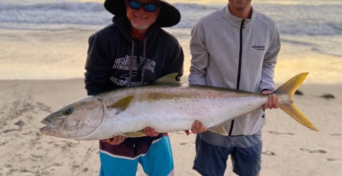 Yellowtail caught from shore