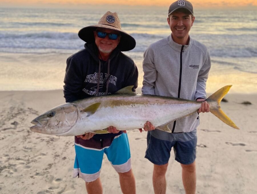 Yellowtail caught from shore