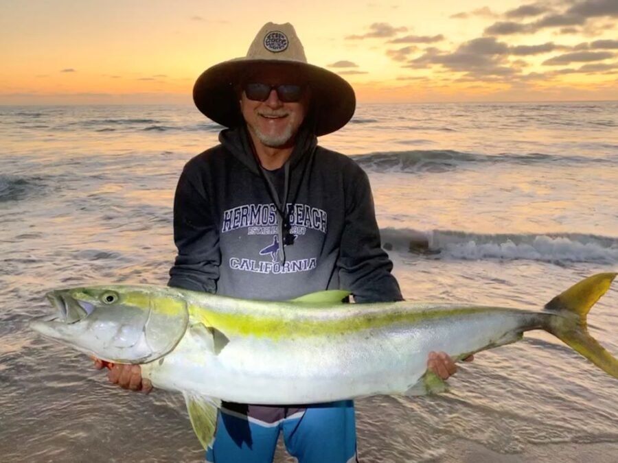 world record yellowtail from the beach