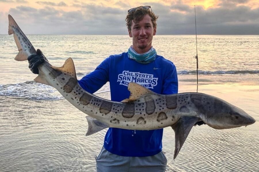 leopard shark fishing