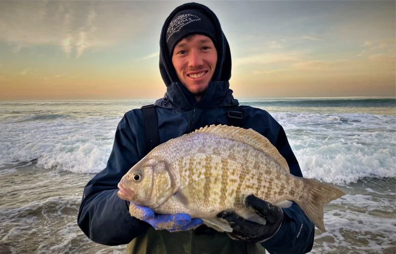 biggest barred surfperch