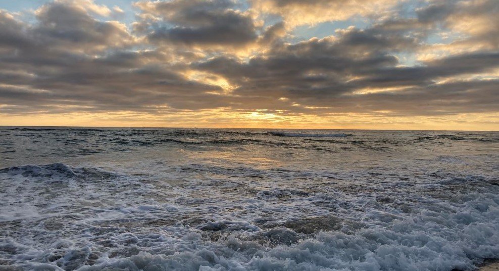 Red Tide In Southern California Surf Fishing In So Cal