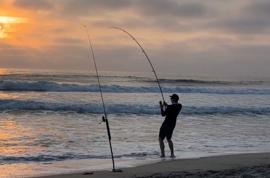 surf fishing