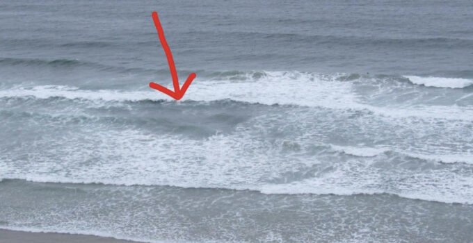 reading the surf
