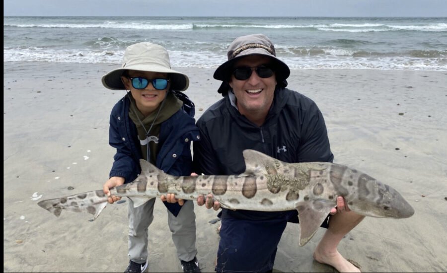 leopard shark surf fishing guide san diego