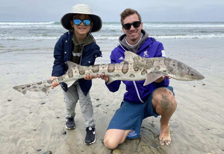 leopard shark fishing