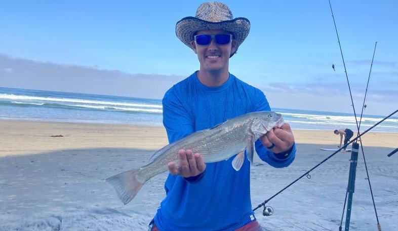 Corbina Caught on San Diego Surf Fishing Guide