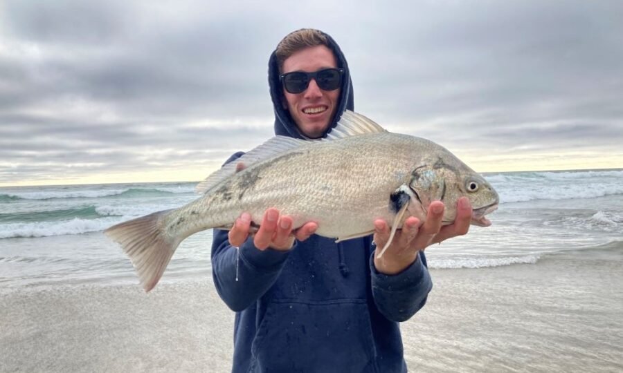 Surf Fishing to the conditions