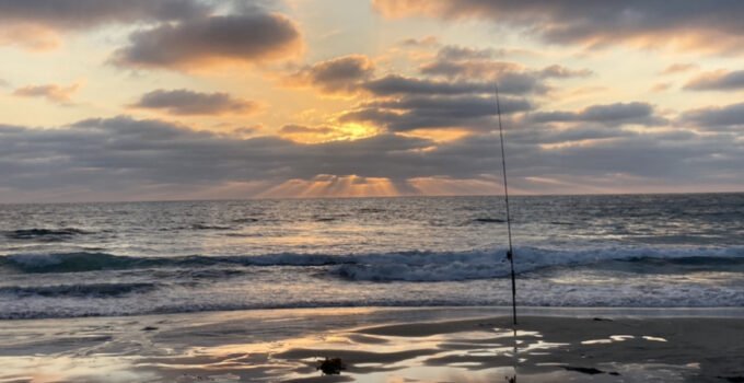 Does wave height affect surf fishing