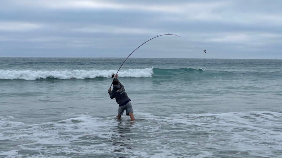 surf casting