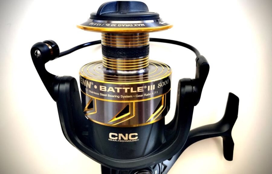 choosing a fishing reel