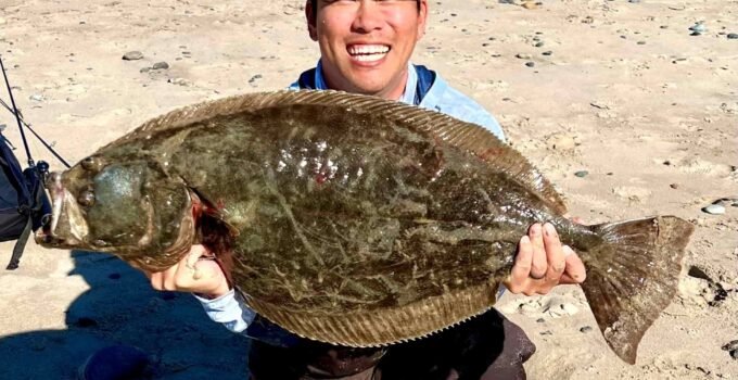 biggest halibut caught from the surf