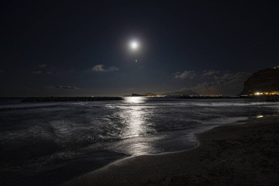 grunion run on full moon night