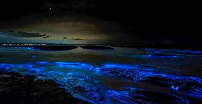 red tide glowing waves in san diego