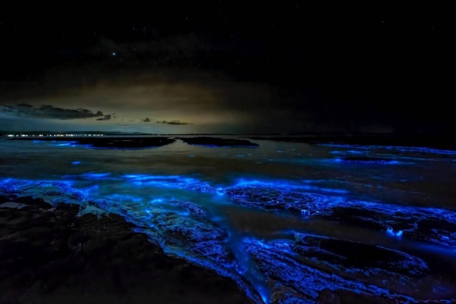 red tide glowing waves