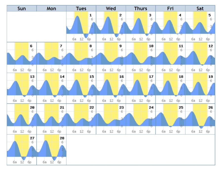 which days and tides are good for fishing