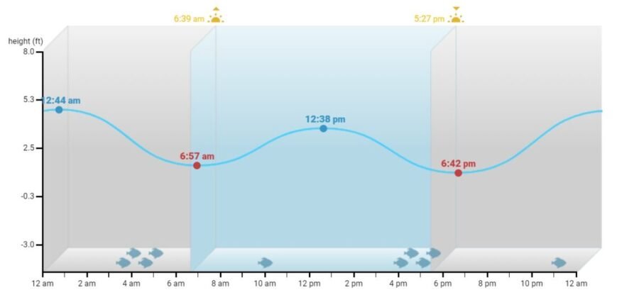 tides for fishing