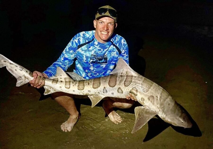 leopard shark fishing during a grunion run