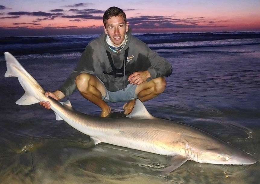 soupfin shark caught during a grunion run