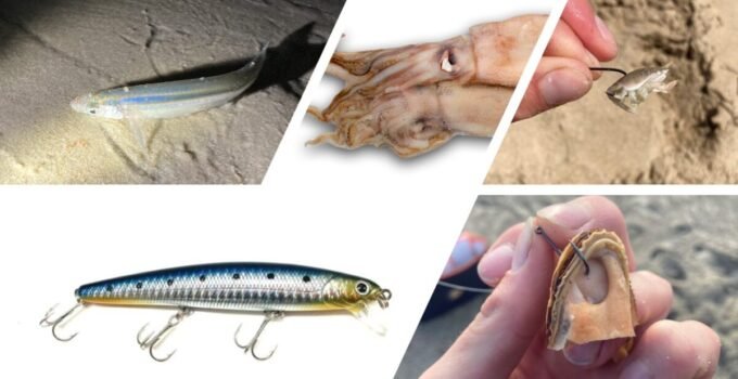 best bait for surf fishing