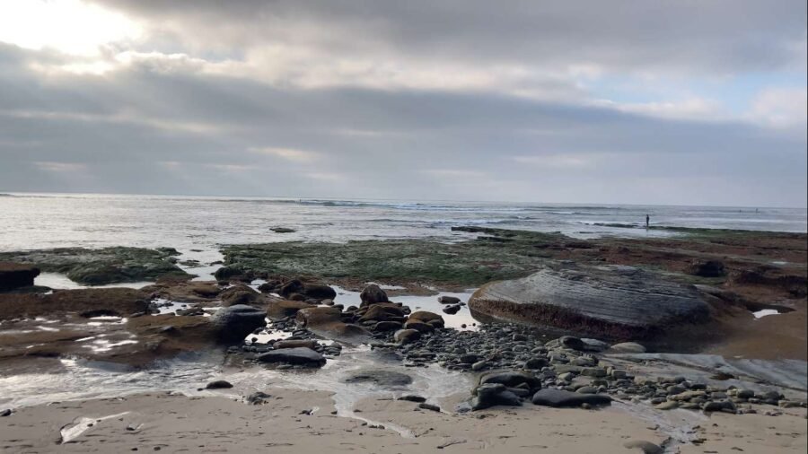 Surf Fishing Low Tide vs. High Tide