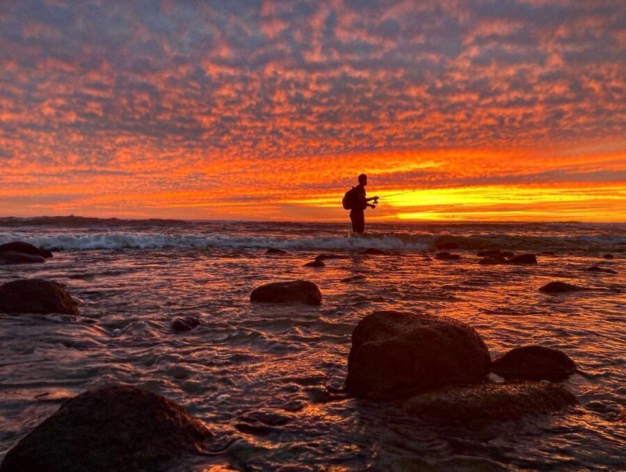 surf fishing at sunset