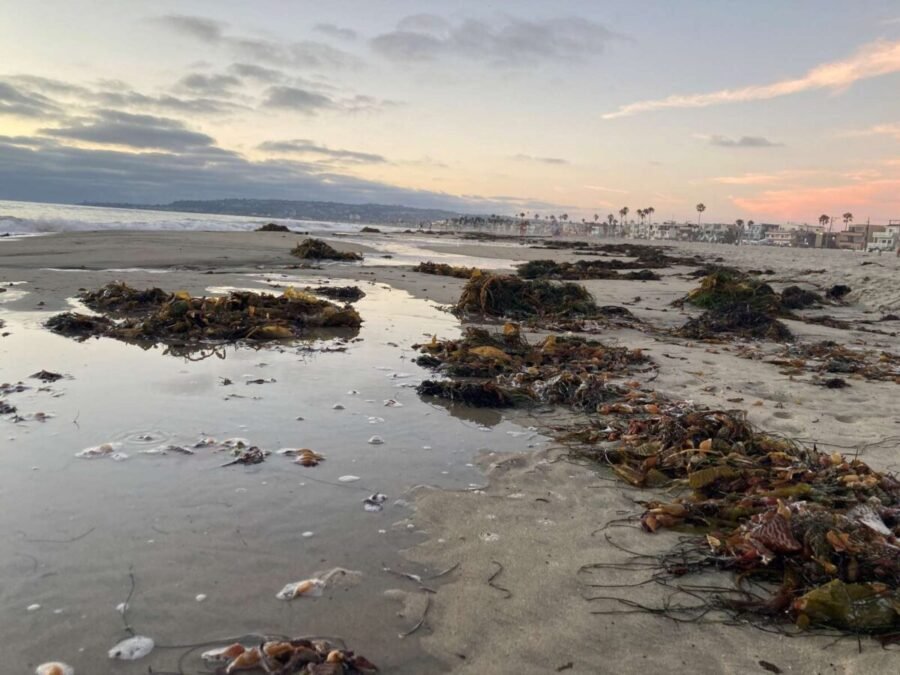 high tide isn't always the best time for fishing