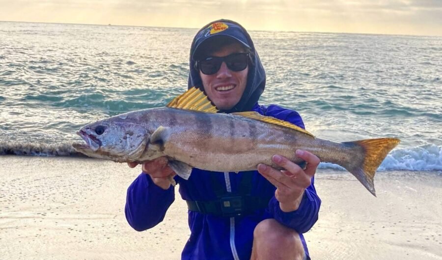 White Seabass Fishing from the Beach