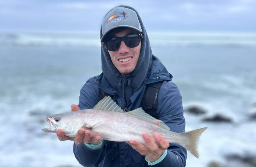 surf fishing with live bait for white seabass