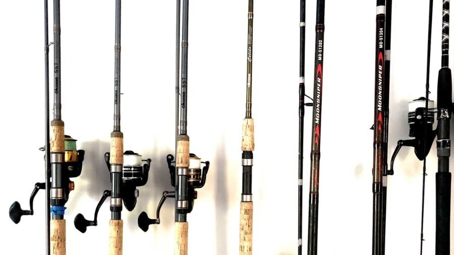 best surf fishing rods