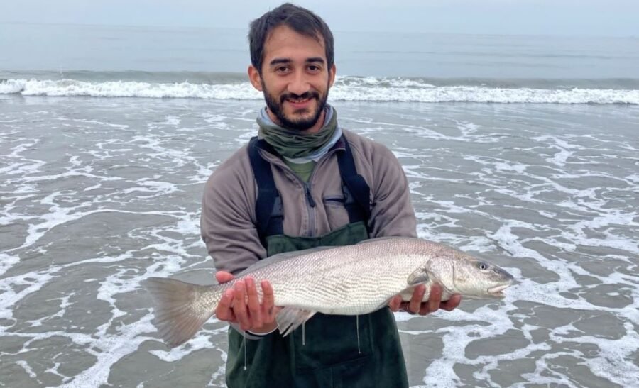 California Corbina Fishing