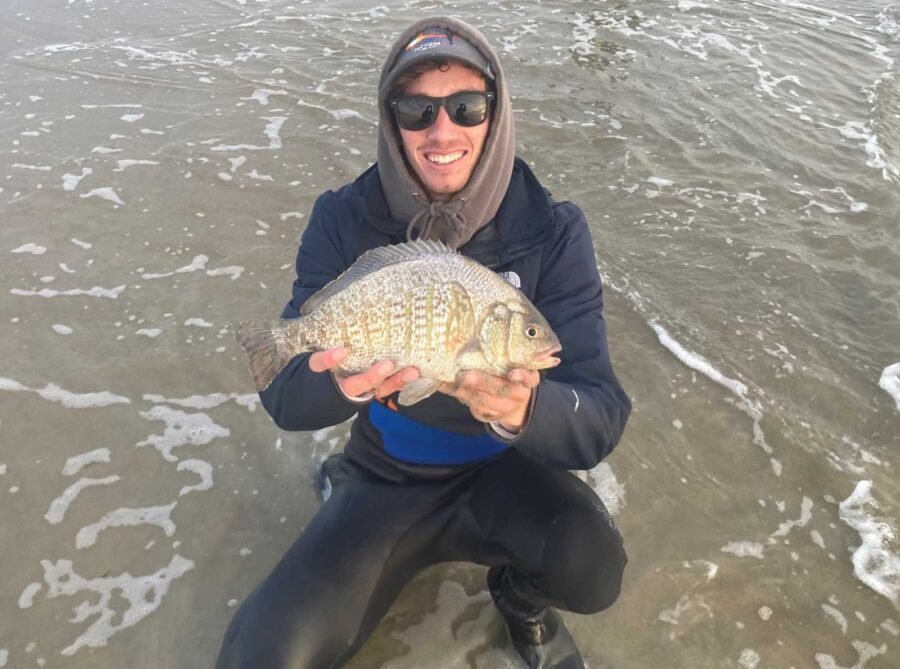 winter and fall surfperch fishing