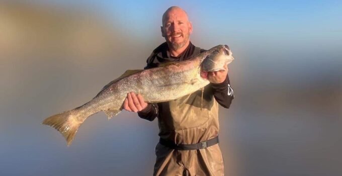 massive white seabass caught from shore!