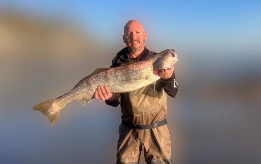 Big white seabass caught from shore