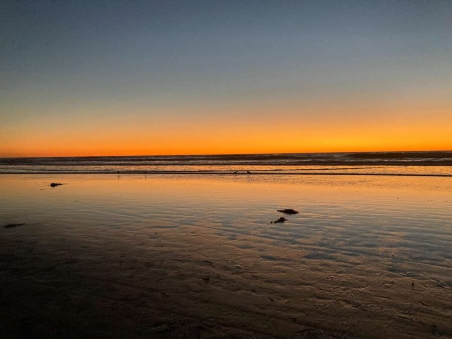 surf fishing san diego in the winter