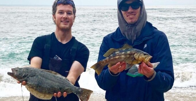 halibut and calico fishing