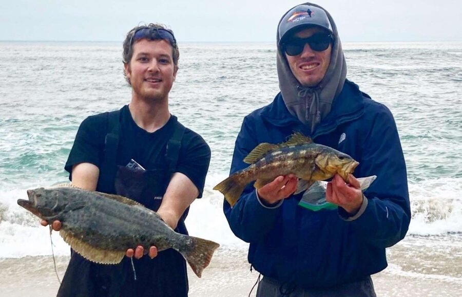 halibut and calico fishing