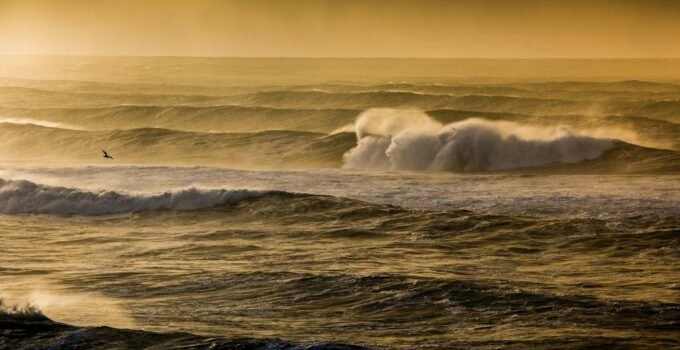 california high surf and big waves