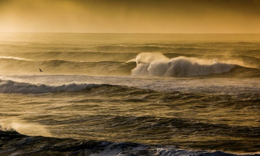 california high surf and big waves