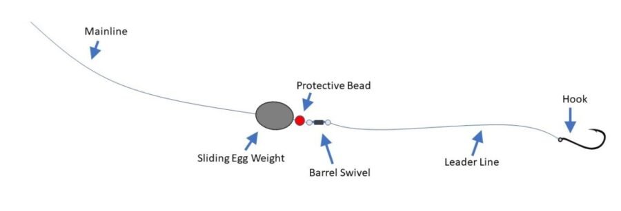 carolina rig for surf fishing through seaweed