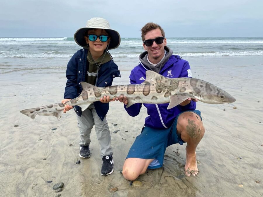 shark fishing del mar beach