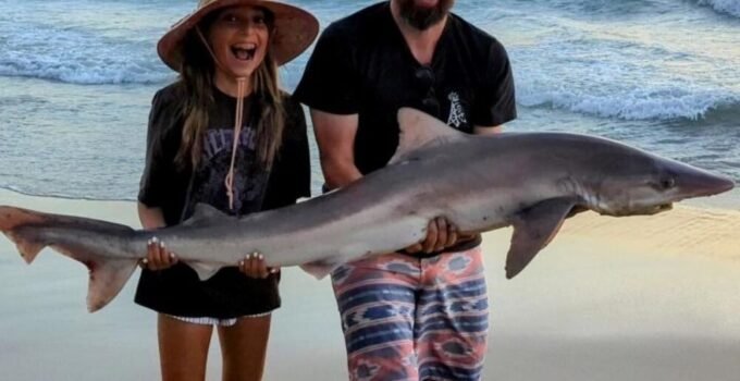 shark fishing from the beach