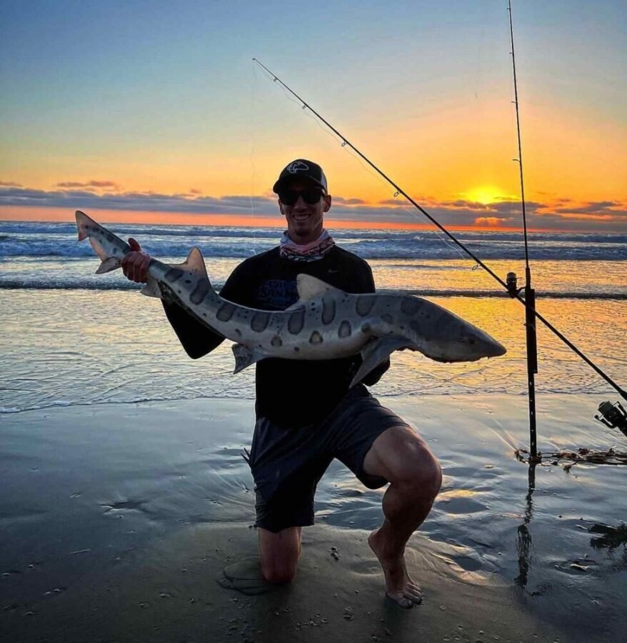 October surf fishing for sharks