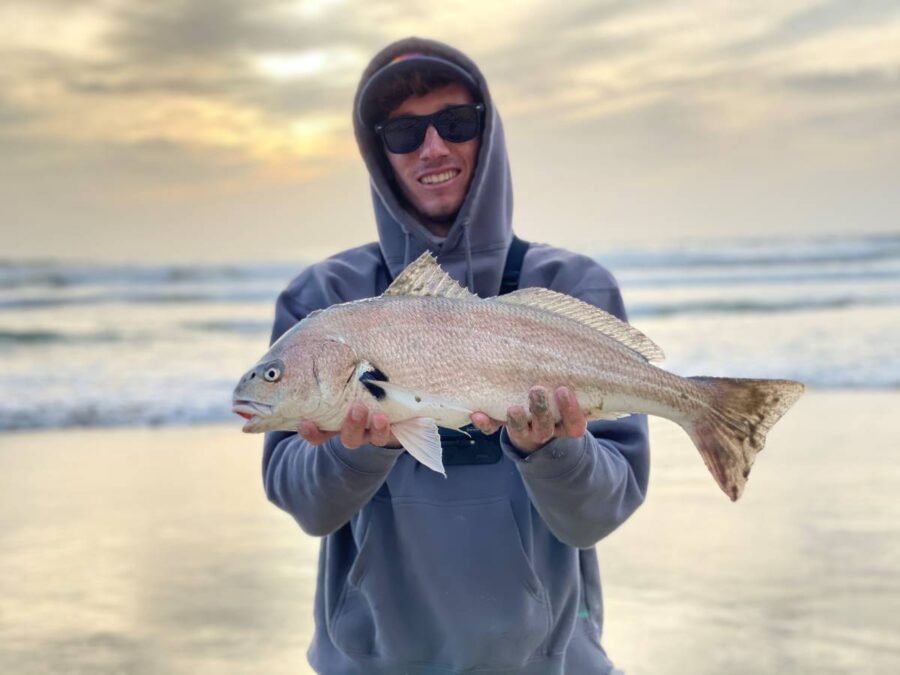 surf fishing light tackle in so cal