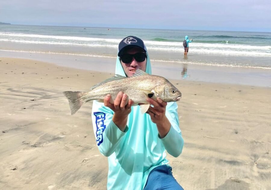 surf fishing torrey pines