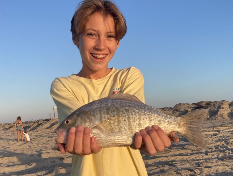 surfperch fishing with baits