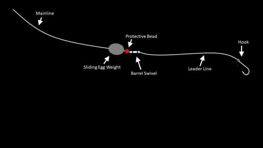 Carolina rig diagram with sliding egg weight